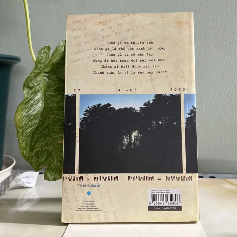 Chắc gì ta đã yêu nhau - Minh Nhật 755589