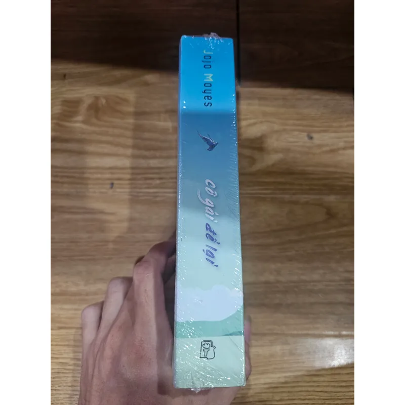 Cô gái để lại
 695752