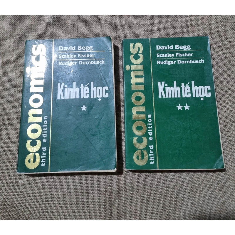 Kinh tế học |  David Bergg| xuất bản 1995 327130