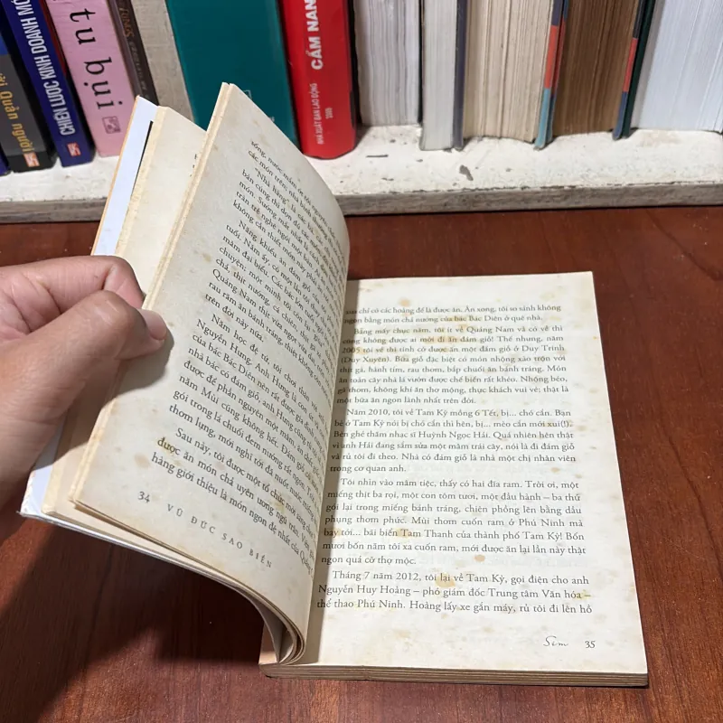 II Biên Khảo: Sim Và Âm Vang Cố Quận - Vũ Đức Sao Biển - 2017 776807