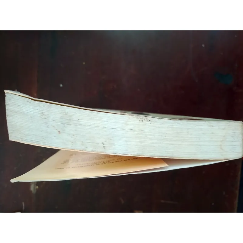 Người đua diều 720106