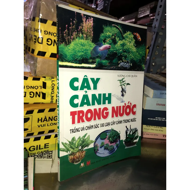 Cây cảnh trong nước - Trồng và chăm sóc 100 loại cây cảnh trong nước  732804