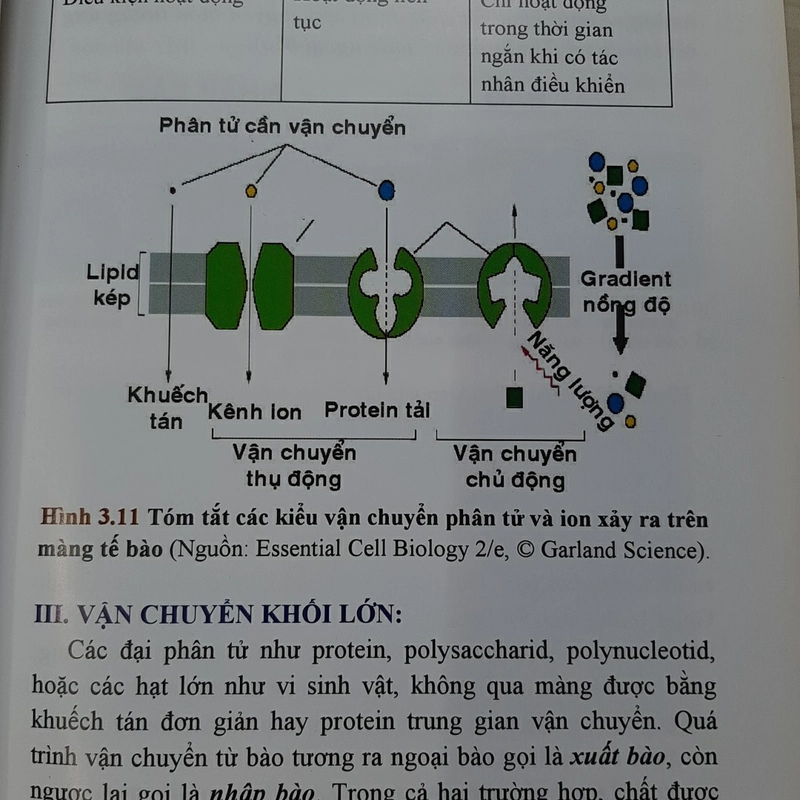 SINH HỌC TẾ BÀO   325482