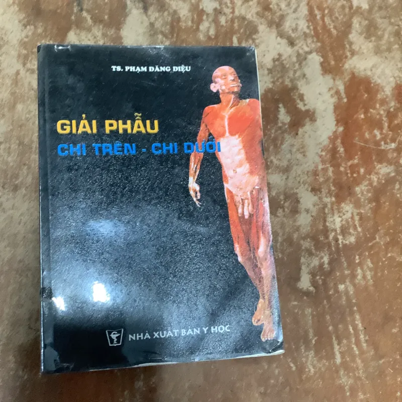 COMBO GIẢI PHẪU ĐẦU MẶT CỔ- GIẢI PHẪU NGỰC - BỤNG & GIẢI PHẪU CHI TRÊN- CHI DƯỚI 777340