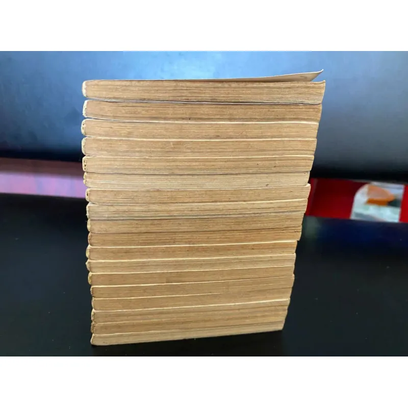 truyện tranh Bá tước tiểu thư (tên gốc: The Countess)  996319