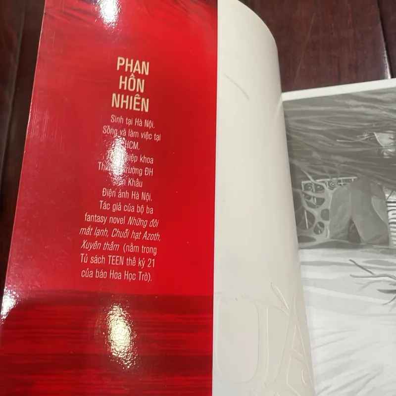 🌿 MÁU HIẾM – Phan Hồn Nhiên - Hoa Học Trò - 2012 tủ sách teen  1059536