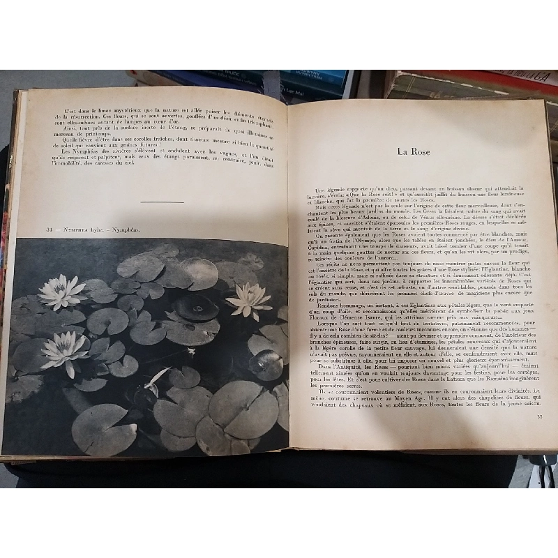 Belles Fleurs De Nos Jardins 708458