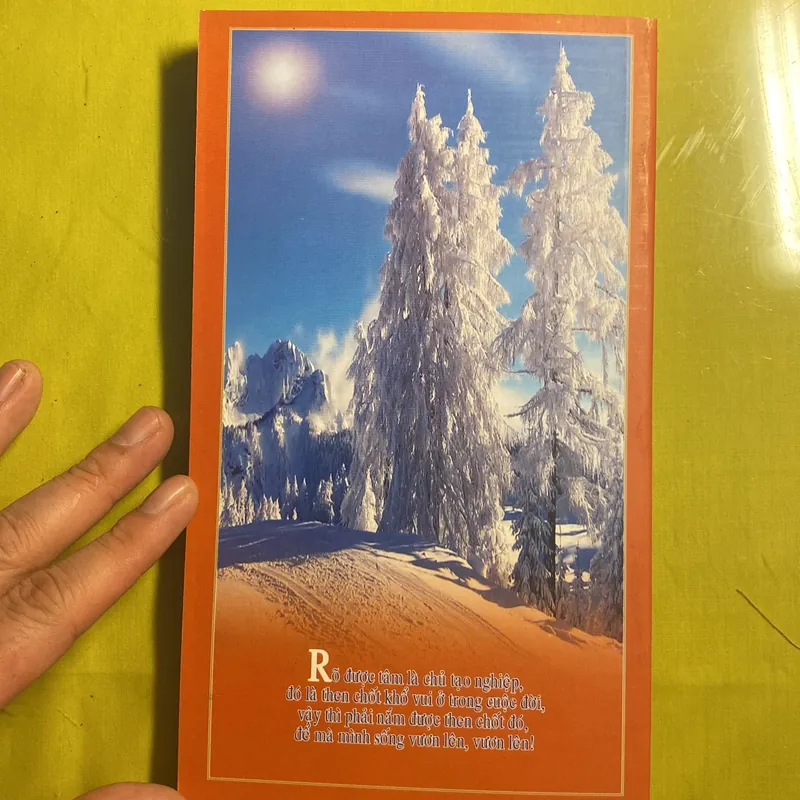 Sống Vươn Lên - Thích Thông Phương - Thiền Viện Trúc Lâm 680982