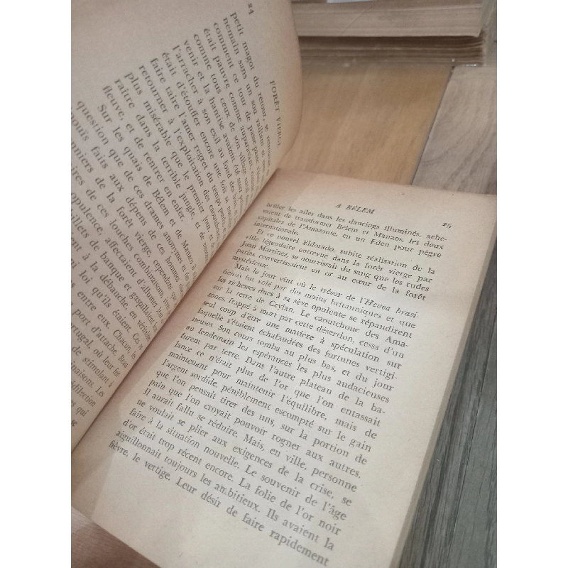 Forêt vierge - Ferreira de Castro 1011034