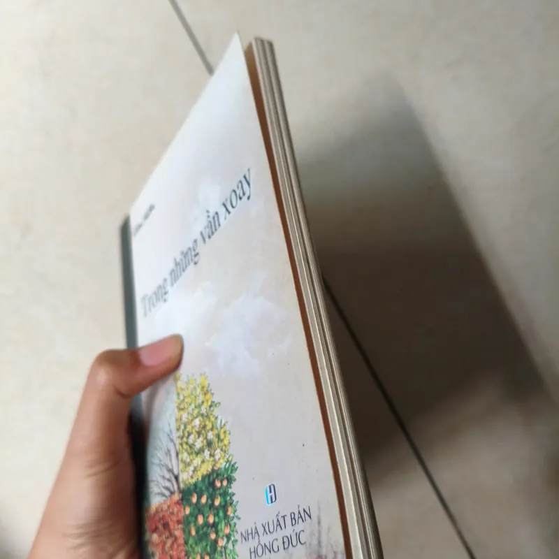 Trong những vòng xoay 🌱 569629