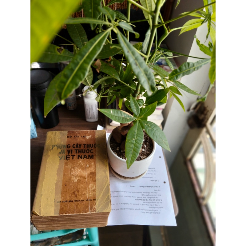 Cây thuốc và vị thuốc Việt Nam (Lương y Đỗ Tất Lợi, 1981) 508462