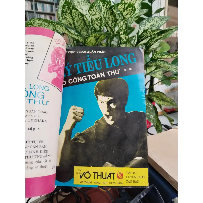 LÝ TIỂU LONG VÕ CÔNG TOÀN THƯ ( TRỌN BỘ 4 TẬP) - LẠC VIỆT, PHẠM XUÂN THẢO 961756