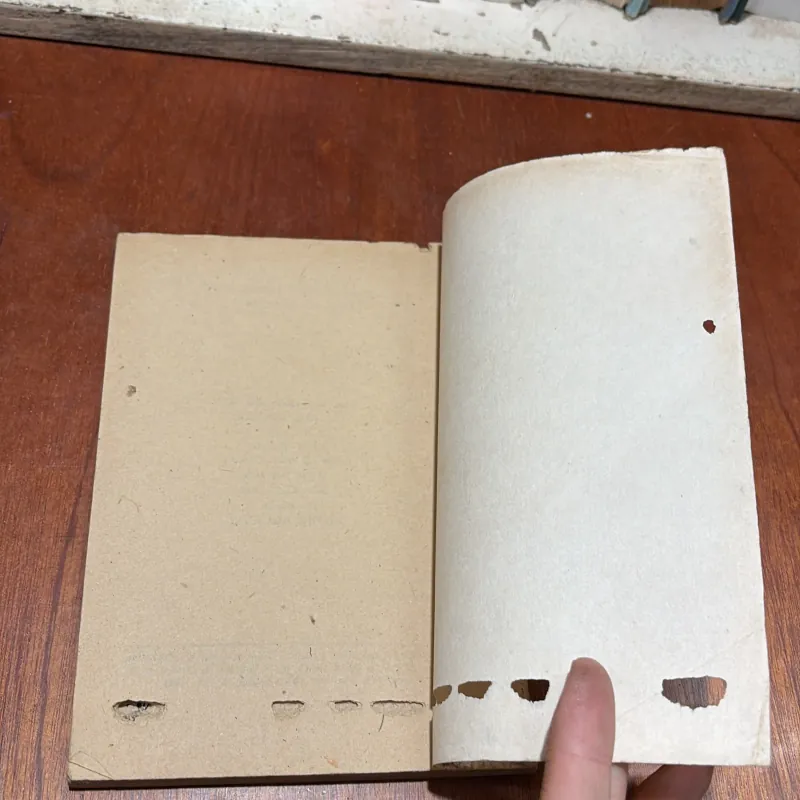 [Bị Mọt] - II Thơ: Trong Mỗi Ngày Đời Tôi - Thanh Quế - 1986 796302