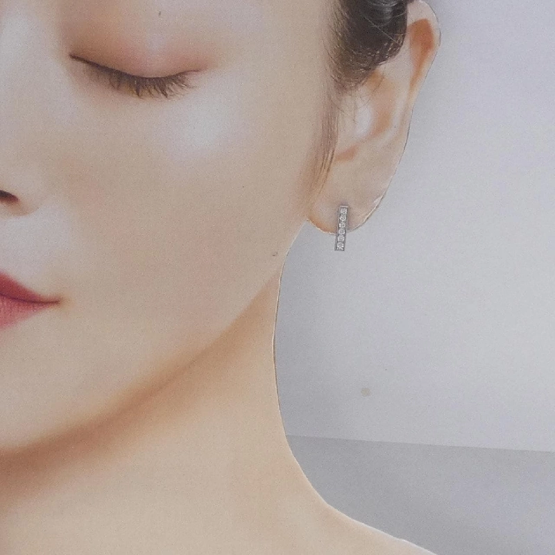 PT900 Bông tai kim cương 0.30CT - Hàng hiệu Chính hãng 869058