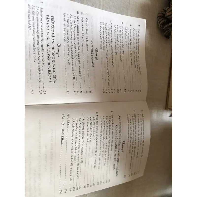 Văn hoá Bắc Mỹ trong toàn cầu hoá  780659