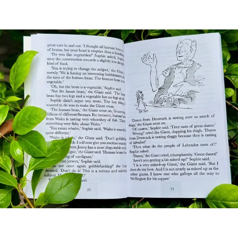 Sách - Roald Dahl 24 quyển có file mp3 full boxset tặng audio + film 1024190