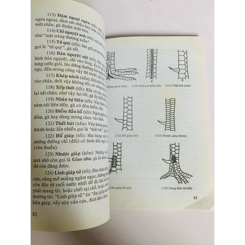 BÍ QUYẾT CHỌN VÀ NUÔI GÀ ĐÁ 447874