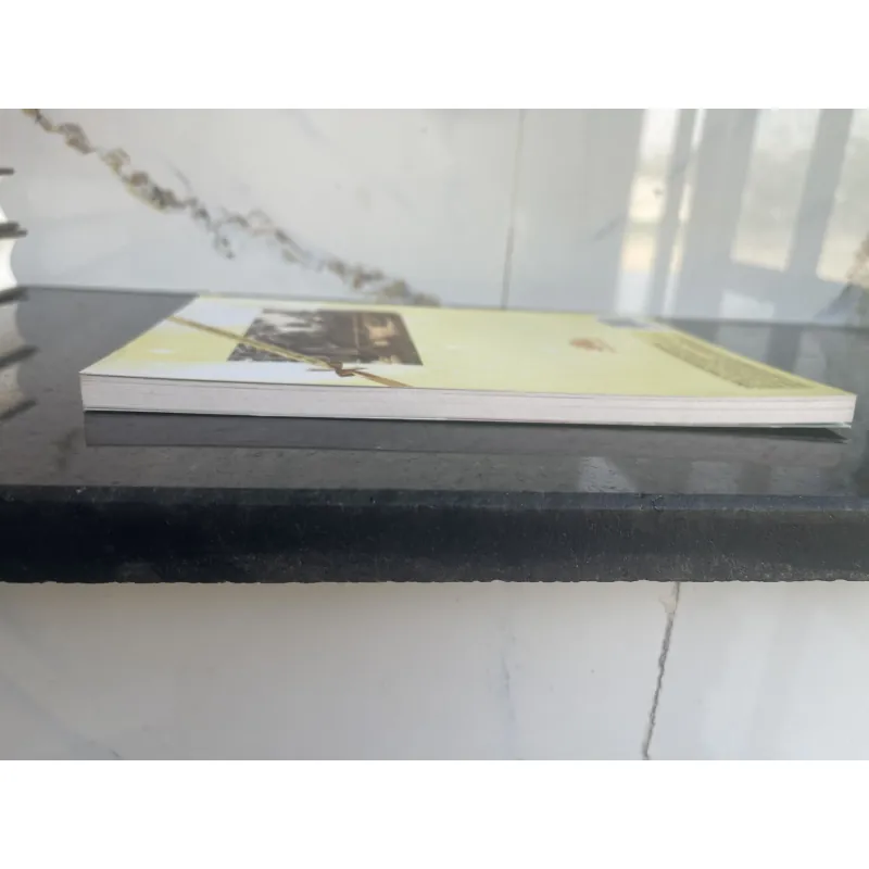 Đỉnh núi tuyết tập 22: Đại sự nhân duyên  754133