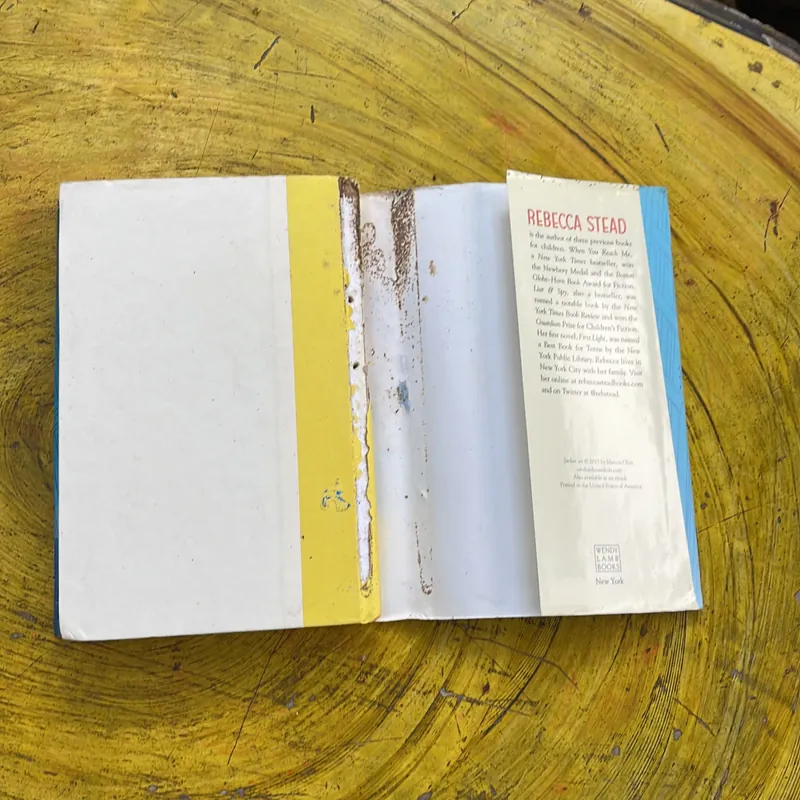 GOODBYE STRANGER- REBECCA STEAD 711944