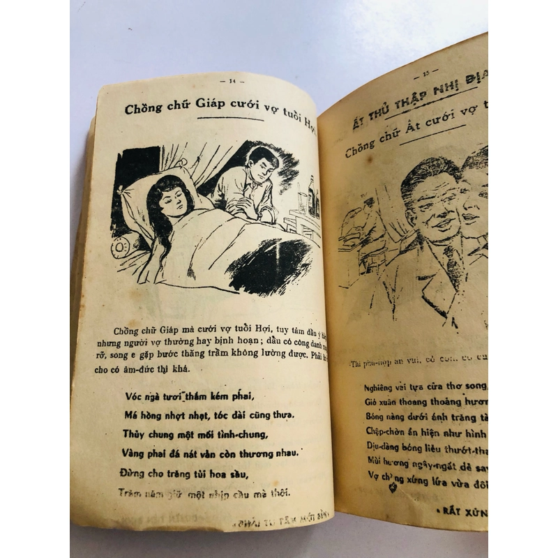 CAO LY ĐẦU HÌNH 527557