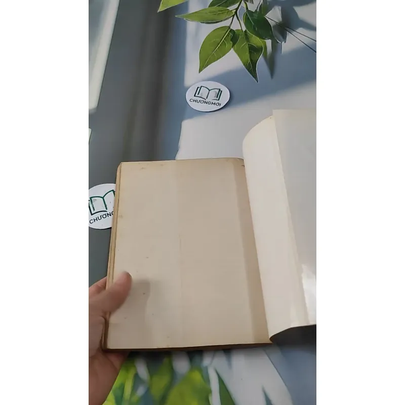 Cơ Sở Văn Hóa Việt Nam - Lê Văn Chưởng 727231