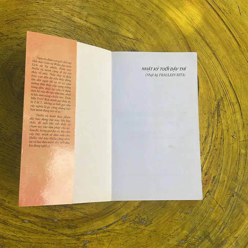 NHẬT KÝ TUỔI DẬY THÌ 695168