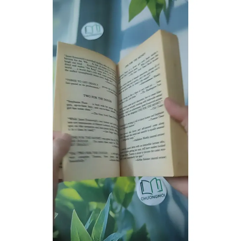 [XƯA] High Five (1999) - Janet Evanovich 1027579