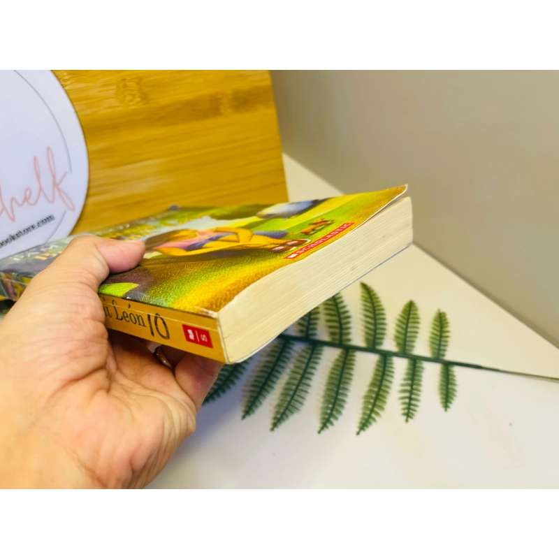 [Sách tiếng Anh 2hand] Like new 90% - Becoming Naomi León - Pam Muñoz Ryan 496941