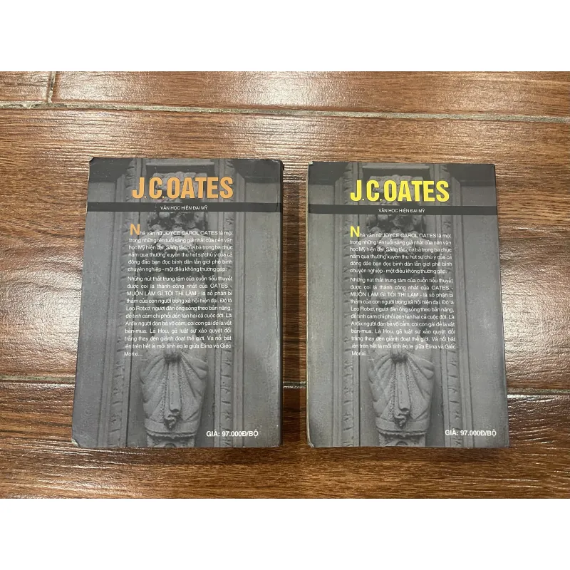 Muốn làm gì tôi thì làm bộ 2 quyển - J.C.Oates (6) 765407