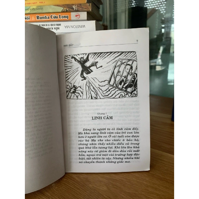 Mài sắt -Ngọc Châu 752252