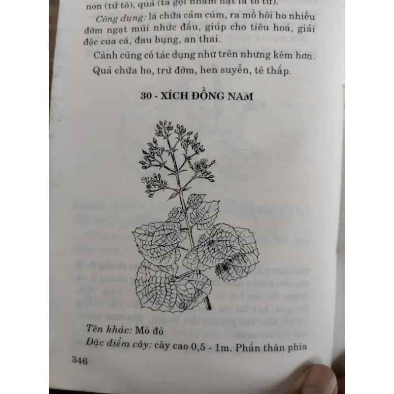  sách: Bách khoa Tri thức Gia đình - Thầy thuốc Gia đình.
 997131