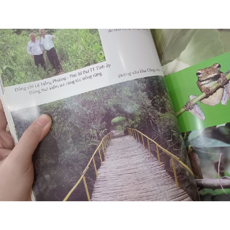 Khu bảo tồn thiên nhiên - văn hóa Đồng Nai: Tiềm năng và phát triển 519060