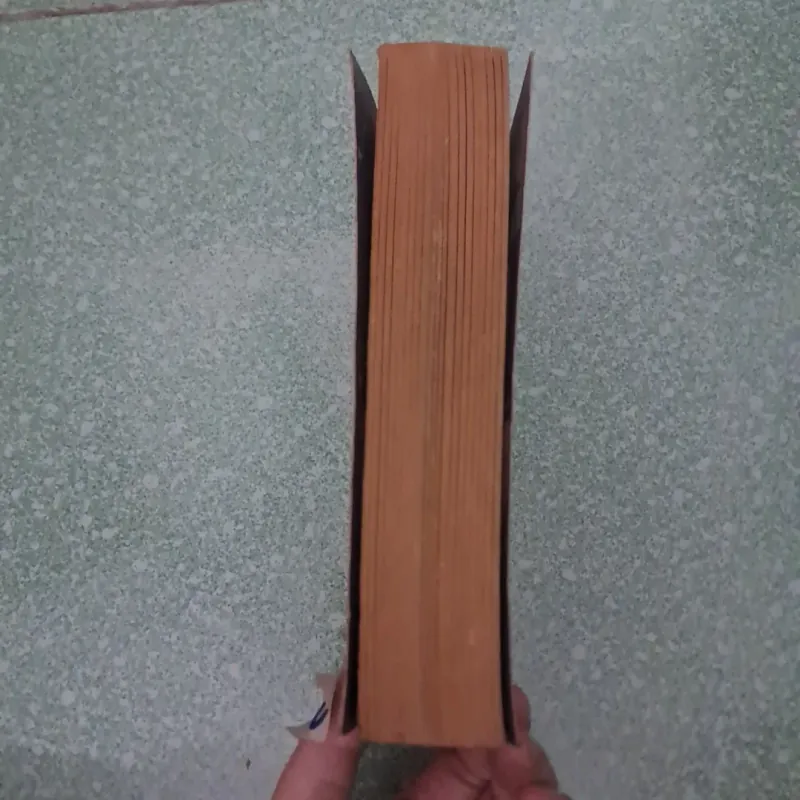 Remember me? - sophie kinsella 997414