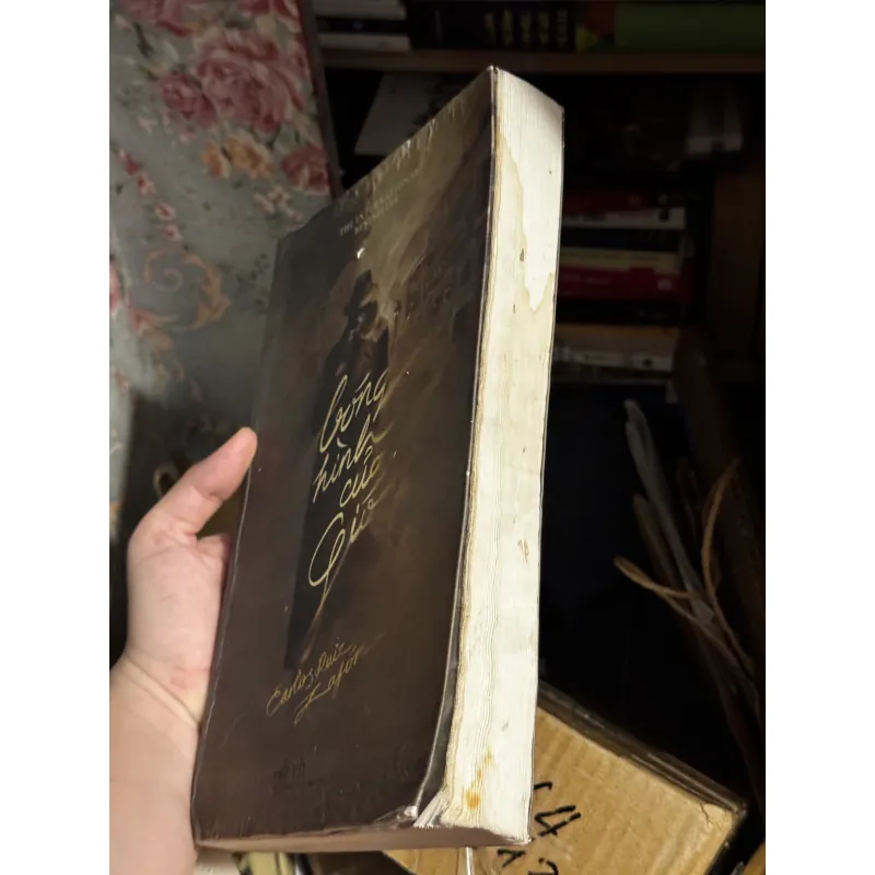 Bóng hình của gió 1001393