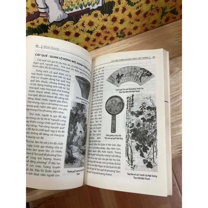 Các Vật Phẩm Phong Thủy Cát Tường 974711