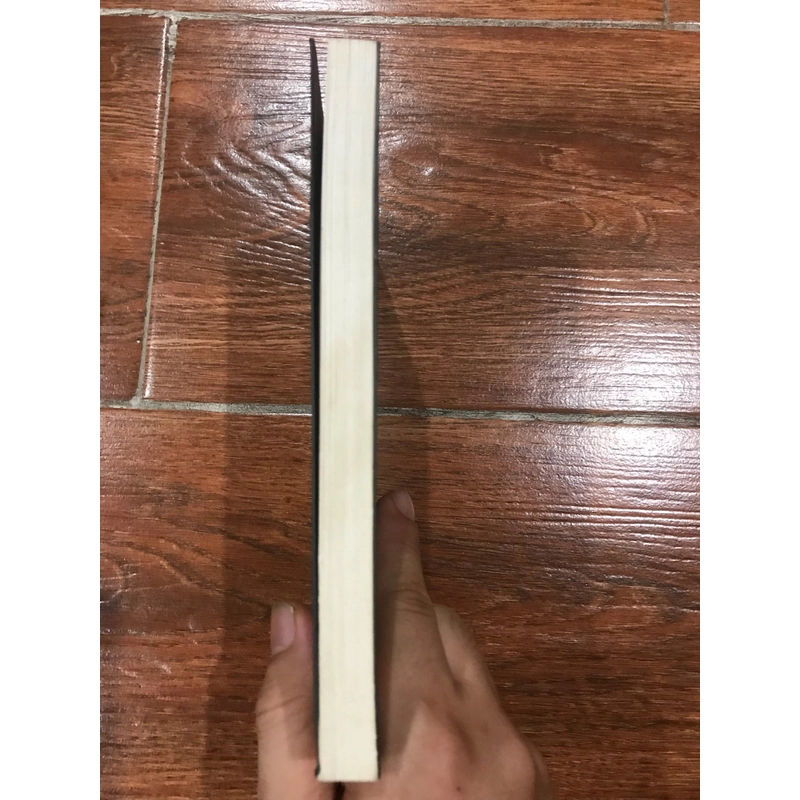 Mưu phản - Sơn Táp (k1) 500127