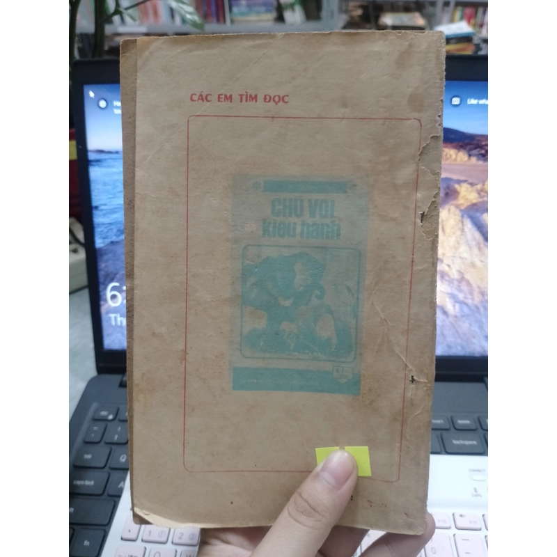 Bài ca trong hẻm 490909