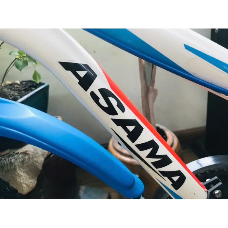 Xe đạp Asama  779225