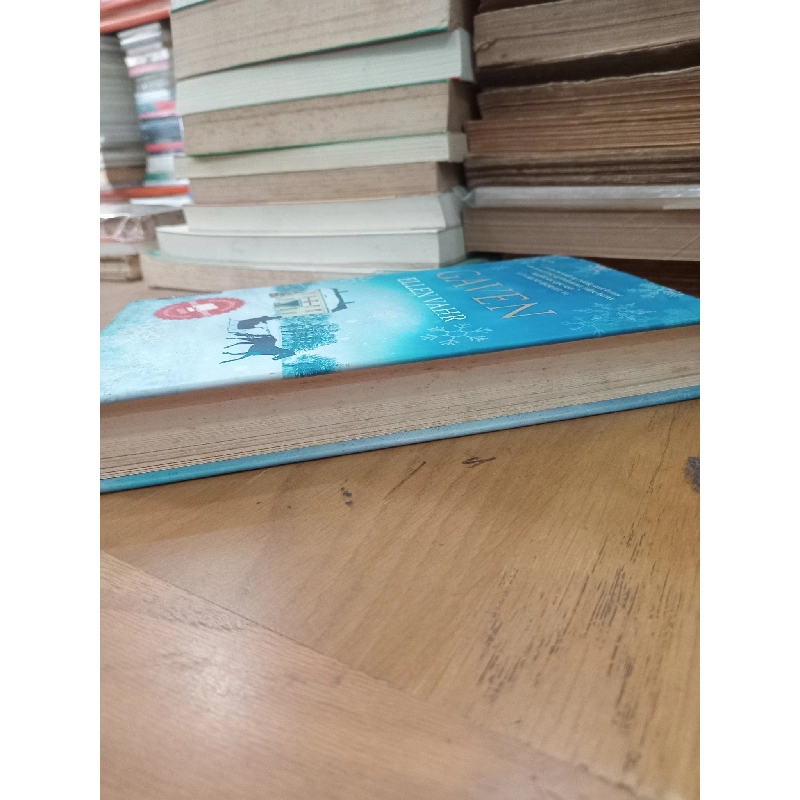 GAVEN - Ellen Vahr 1019364