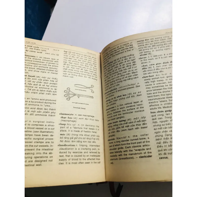 TỪ ĐIỂN Y HỌC ANH - VIỆT  657230