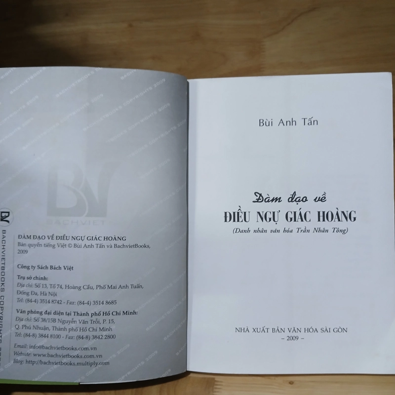 Đàm Đạo Về Điều Ngự Giác Hoàng (Trần Nhân Tông) - Bùi Anh Tấn 523492