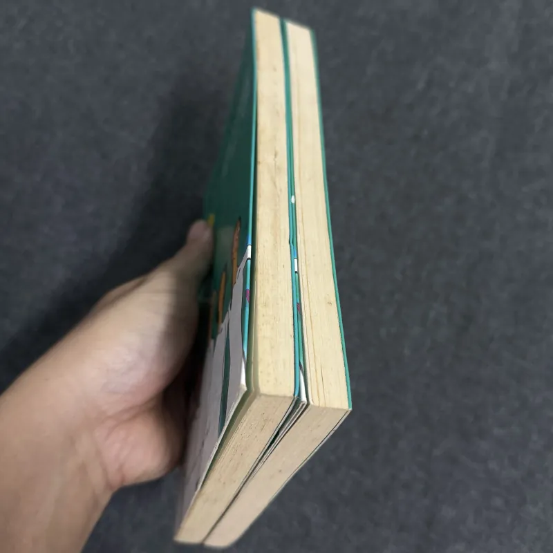 Ngôi trường mọi khi - Nguyễn Nhật Ánh 1023003