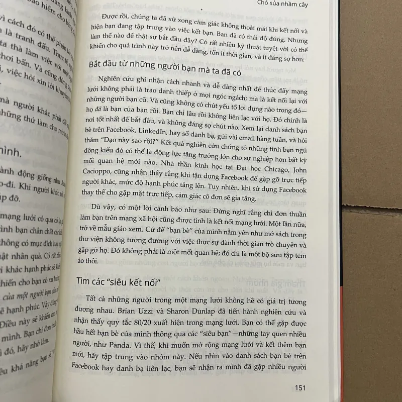 Chó Sửa Nhầm Cây 927916