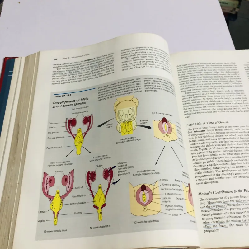 THE NATURE OF LIFE – John H. Postlethwait & Janet L. Hopson 780372