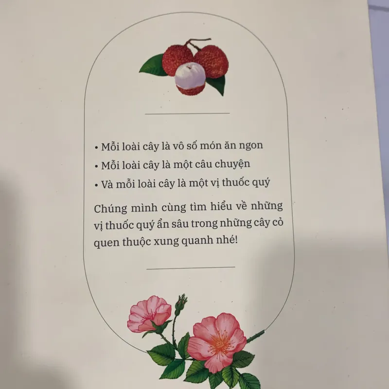 Sách cây thuốc quanh em 595678