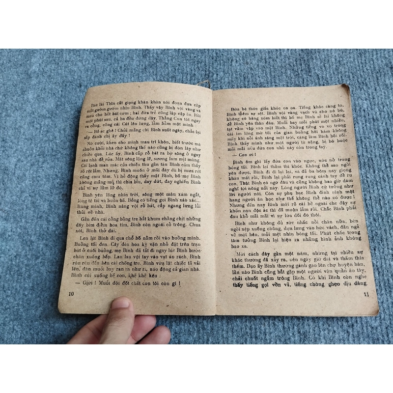 BỈ VỎ - NGUYÊN HỒNG 540669