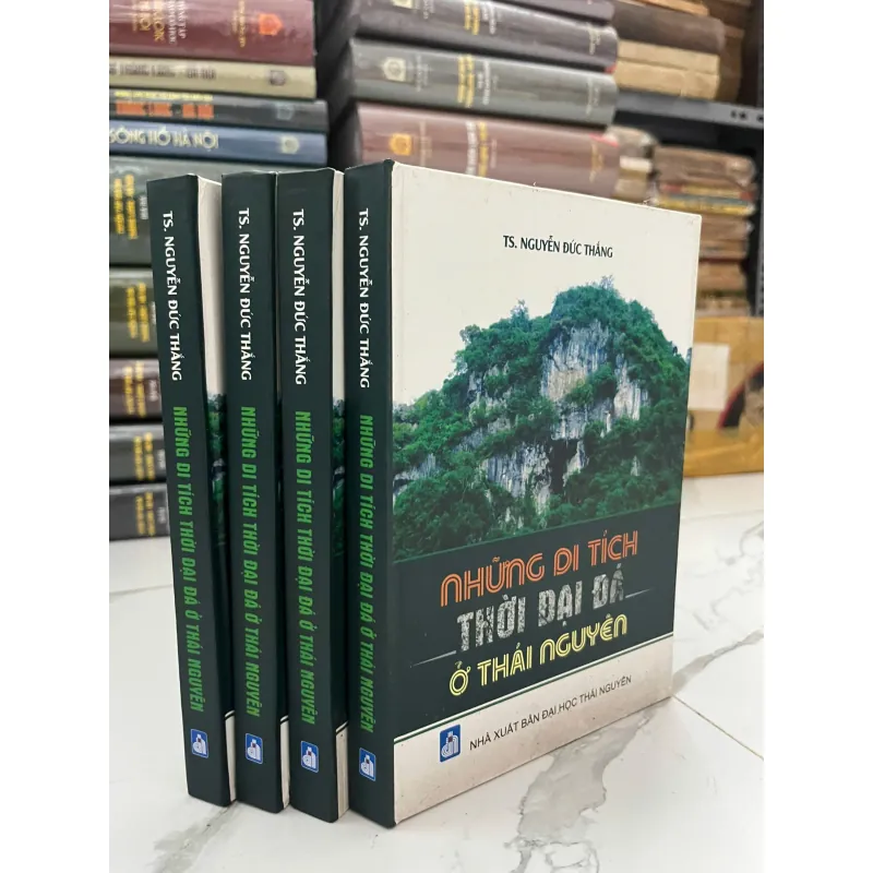 Những di tích thời đại đồ đá ở Thái Nguyên - TS. Nguyễn Đức Thắng 998940