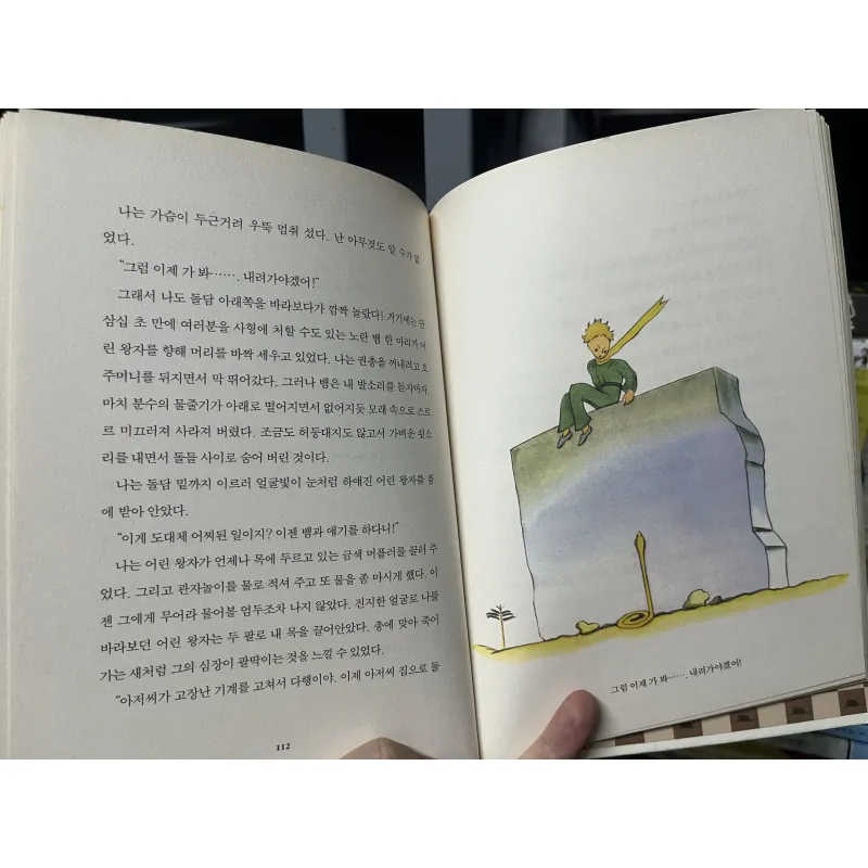 어린왕자 Hoàng tử bé 1010866