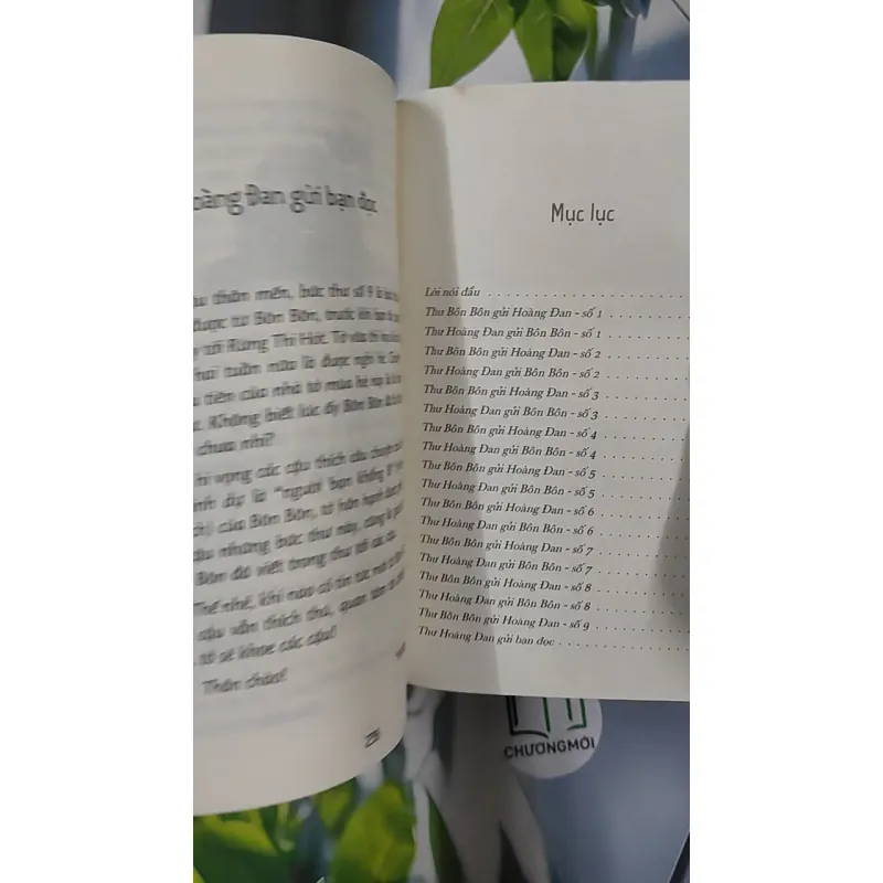 Chuyện Của Bôn Bôn - Chiến Binh Chào Mào - Đoàn Bảo Châu 798485