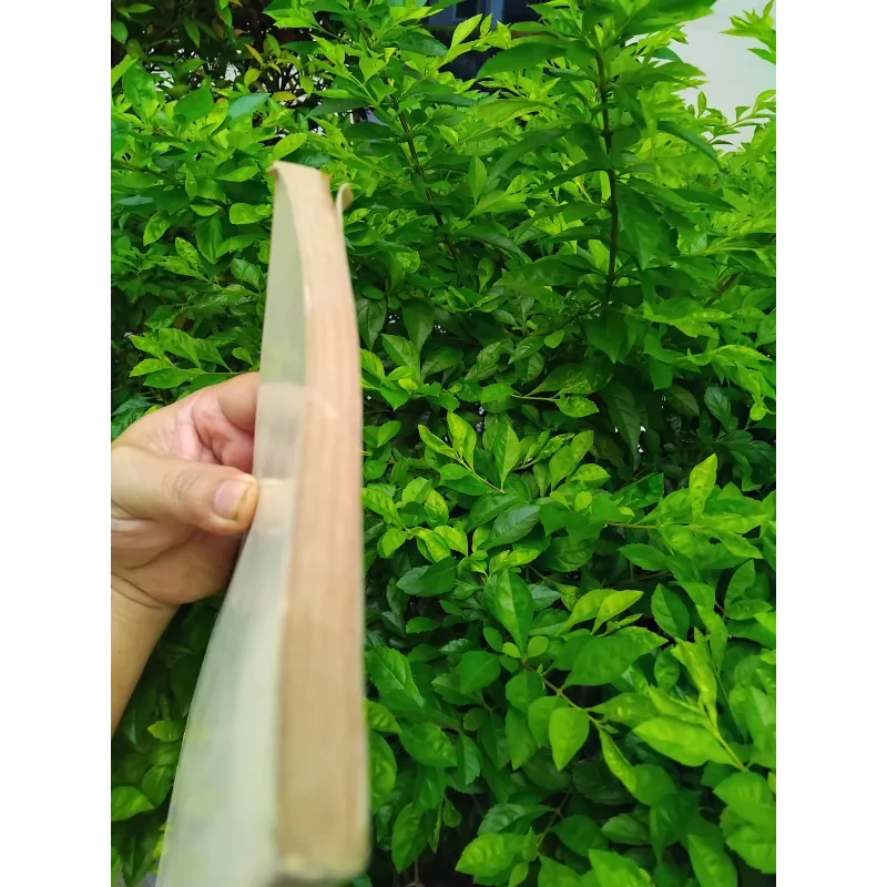 An Nam dịch ngữ do Vương Lộc giới thiệu và chú giải 1001269